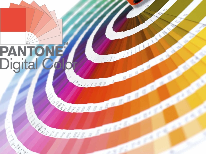 Onyx Pantone Color Chart